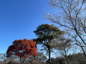 恵那峡の里