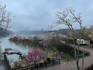 恵那峡桜2024.4.5