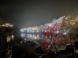 恵那峡桜ライトアップ