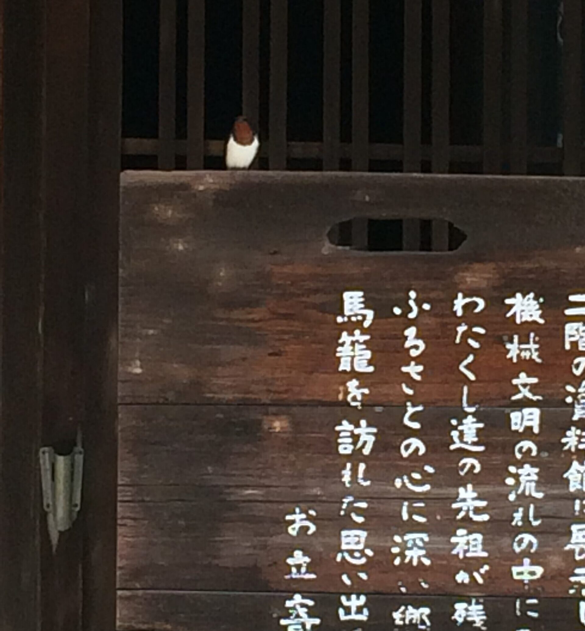 馬籠の看板と燕