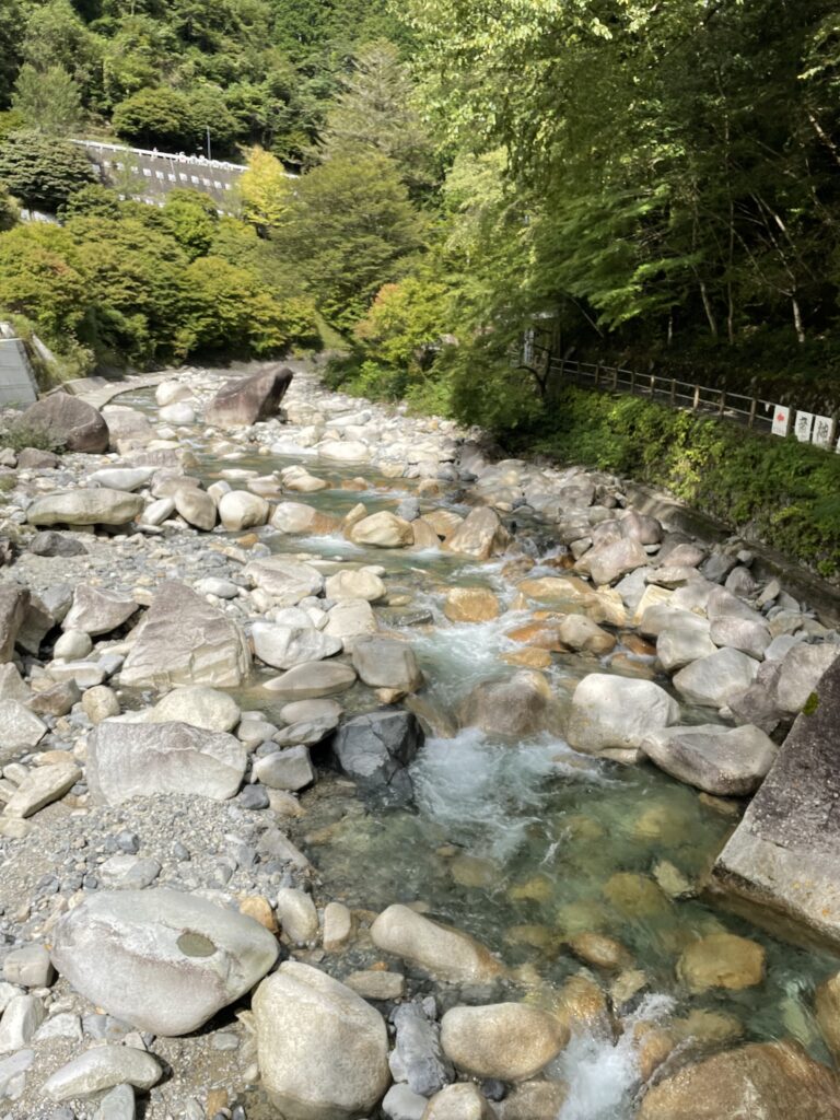 せせらぎ橋からの風景