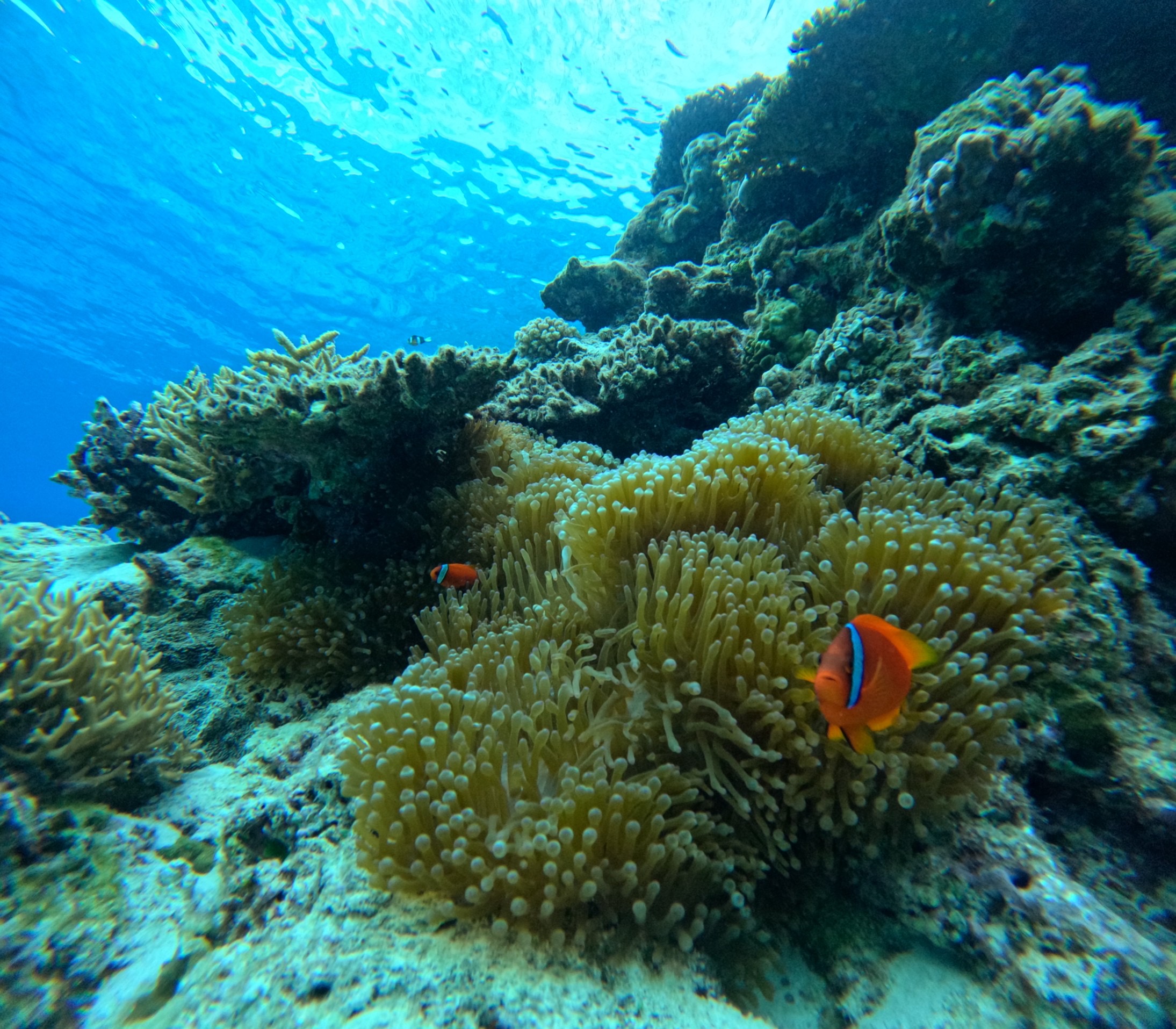 沖縄の海