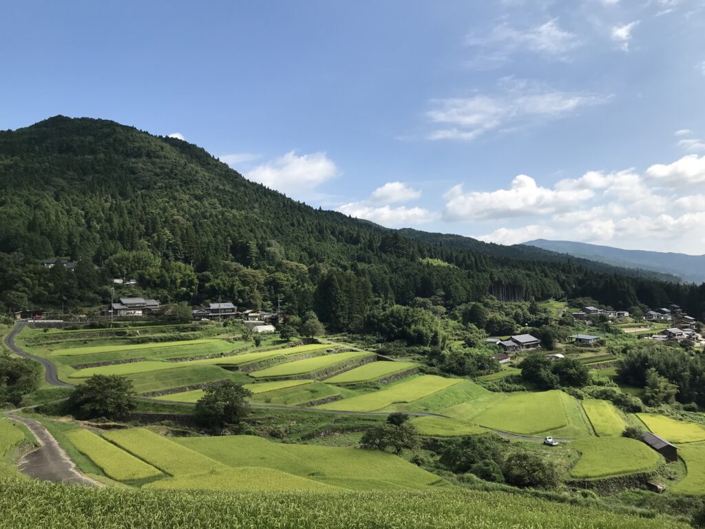 2021年8月坂折棚田