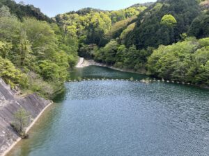 岩村ダム湖面