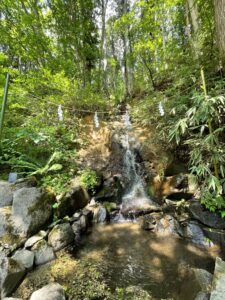 戸隠神社中社さざれ滝